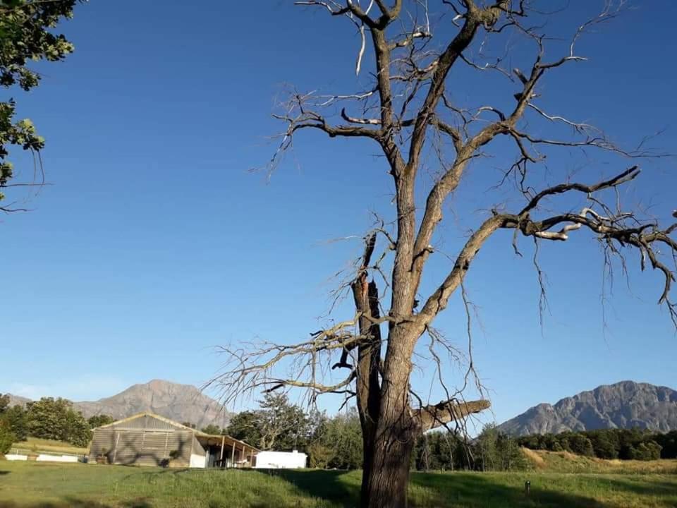 Klipfontein Rustic Farm & Camping تولباغ المظهر الخارجي الصورة