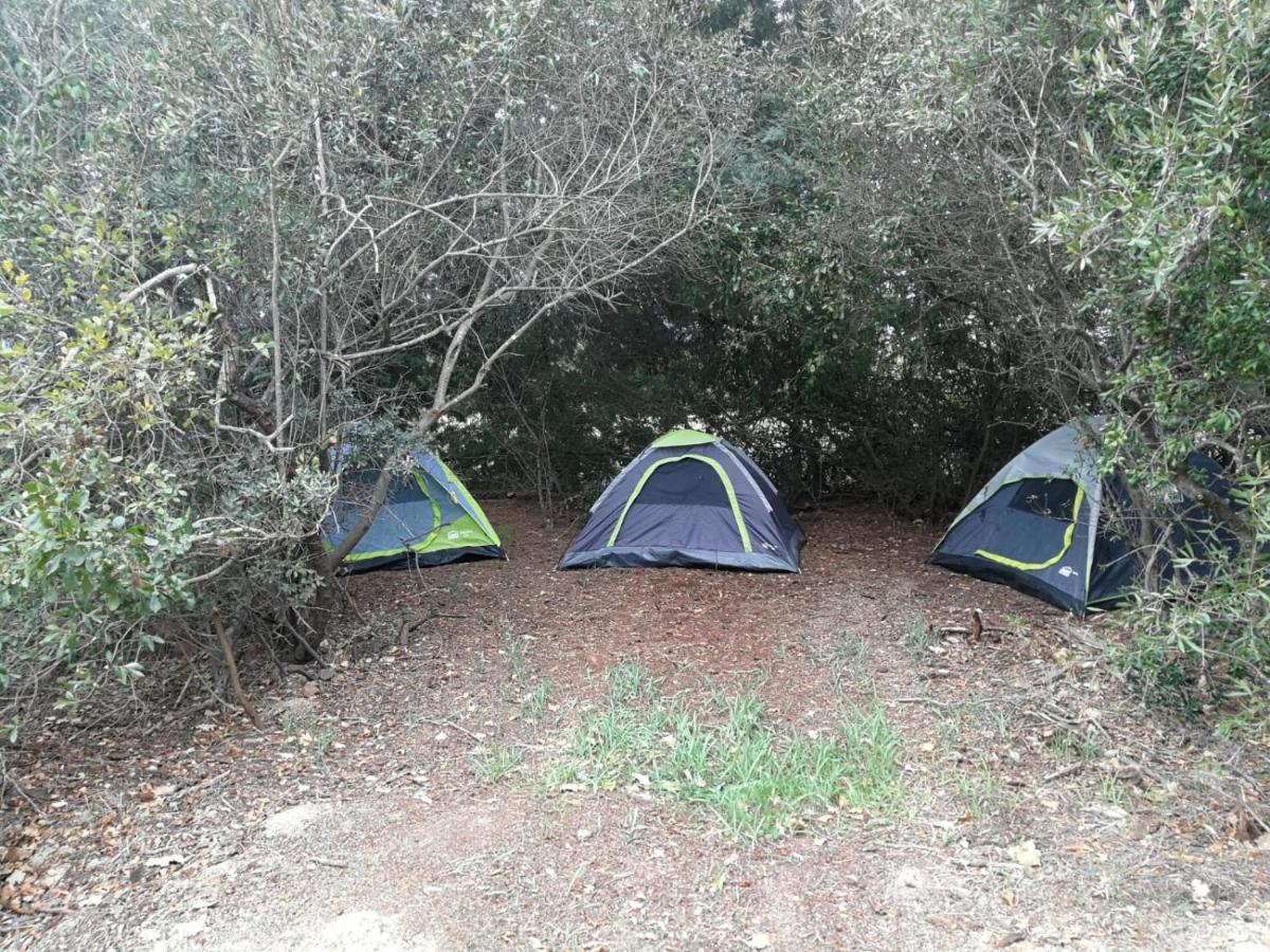 Klipfontein Rustic Farm & Camping تولباغ المظهر الخارجي الصورة