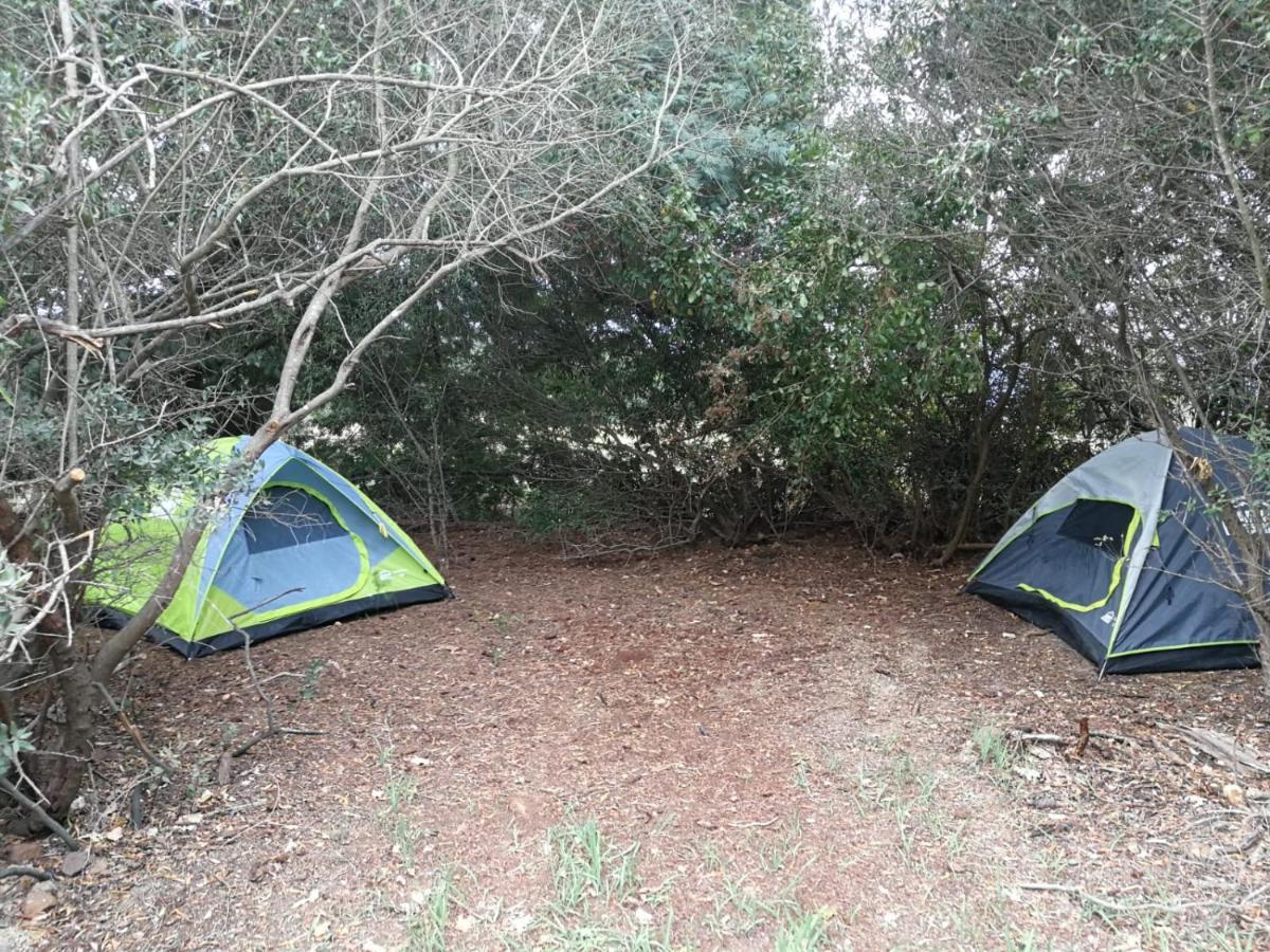 Klipfontein Rustic Farm & Camping تولباغ المظهر الخارجي الصورة