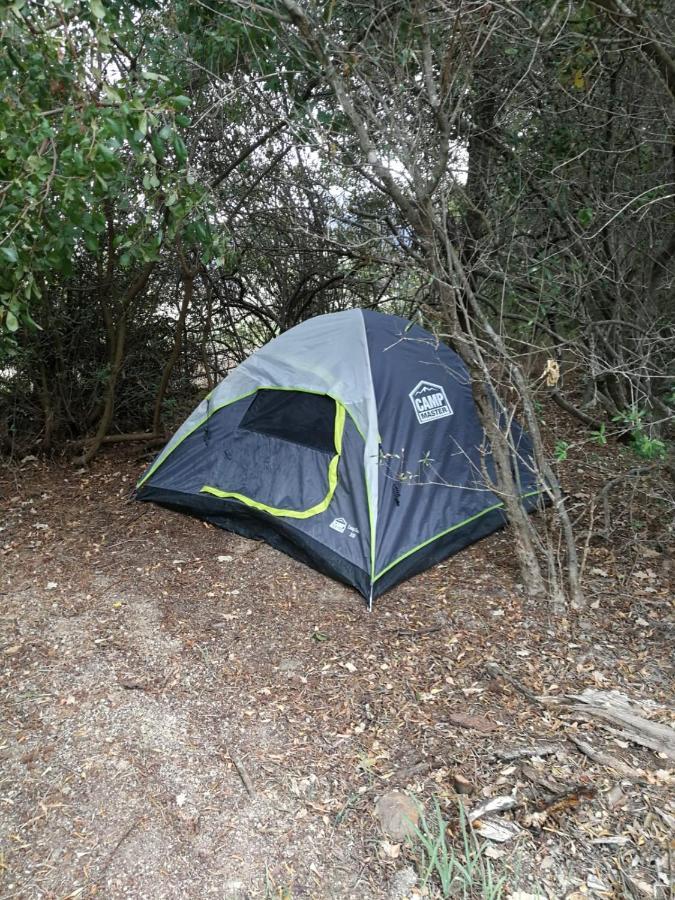 Klipfontein Rustic Farm & Camping تولباغ المظهر الخارجي الصورة
